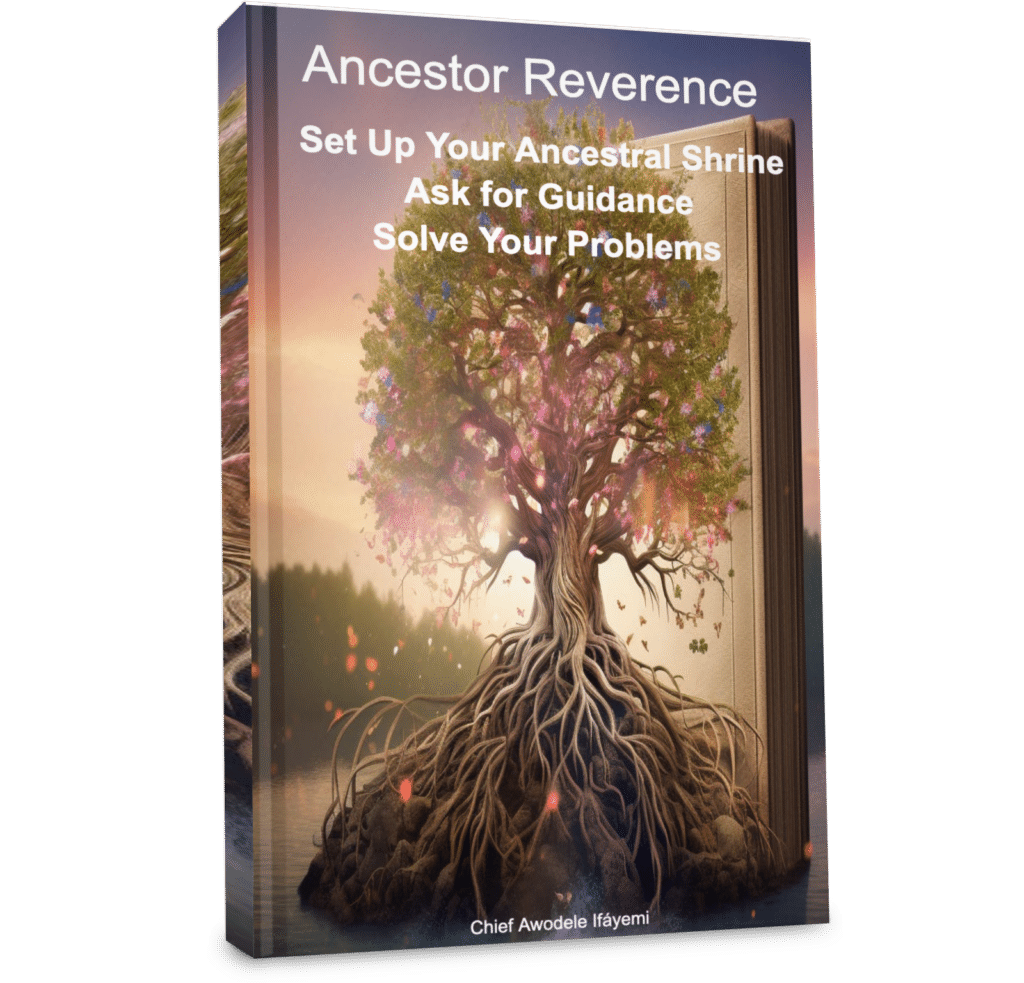 Ancestor Reverence - Soft Cover